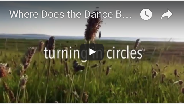 Where Does the Dance Begin by Kaitlyn Greene